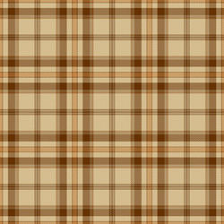tartan plaid seamless pattern background vector image