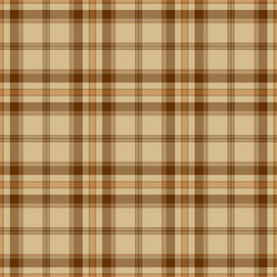 Tartan plaid seamless pattern background vector