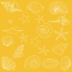 Seashells and starfish pattern vector