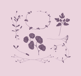 branches and leaves silhouettes set drawing vector image