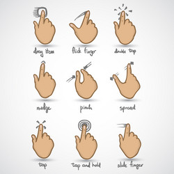 Touch Gestures Interface Icons vector image