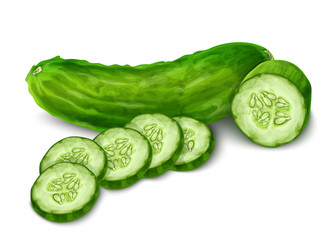 Isolated Cucumber Slice vector image