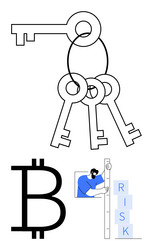 keys linked in a ring bitcoin symbol and man vector image