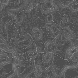 seamless pattern topographic map background vector