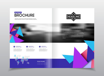 annual report brochure with text a4 size c vector image