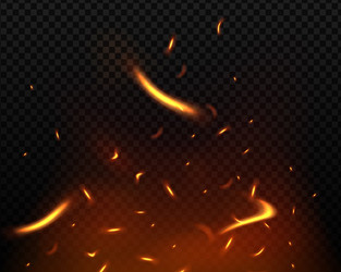 Fire sparks background Royalty Free Vector Image