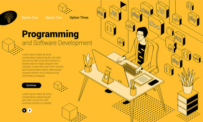 Modern Programmer Workspace vector image