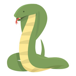 nature cobra icon cartoon king snake vector