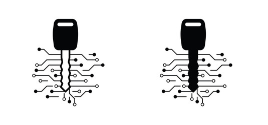 Digital key for login or password microchip vector