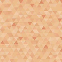 abstract triangle censor skin color background vector image