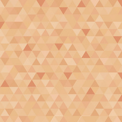 Abstract triangle censor skin color background vector