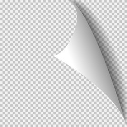 curl corner paper template transparent grid vector image
