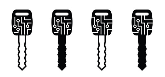 Digital key for login or password microchip vector