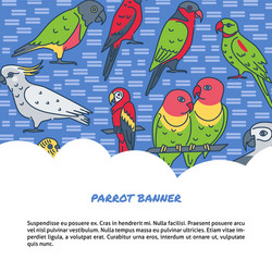 parrots background in line style with text vector image