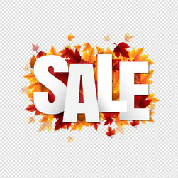 Sale poster with colorful autumn leaves vector