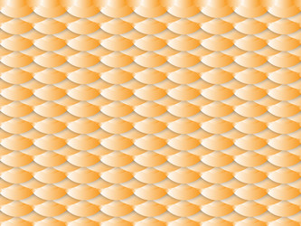 geometric pattern gradient color background vector image