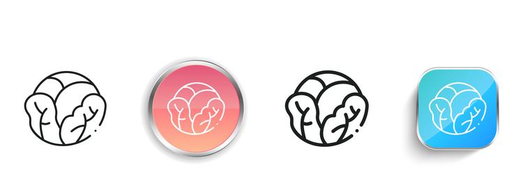 cabbage icon thin linear regular and button style vector image