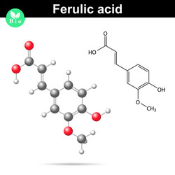 Ferulic acid chemical molecule vector