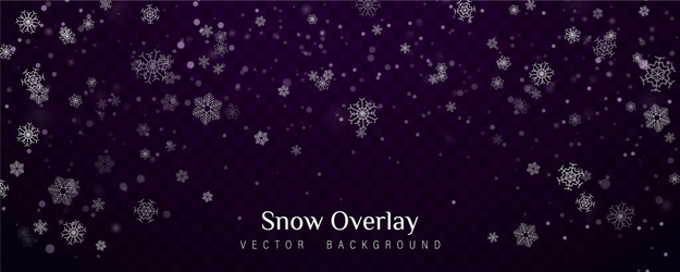 Falling christmas snow vector