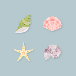 seashells set vector