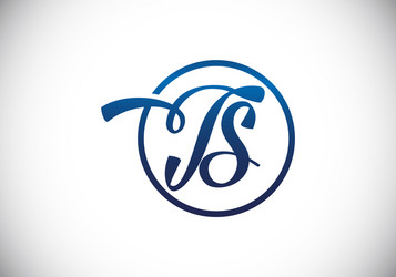 Initial monogram letter t s logo design template Vector Image
