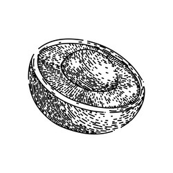 Longan Fruit Vector Images (over 1,100)