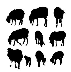 Sheep and lamb silhouettes set Royalty Free Vector Image