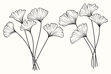 ginkgo leaf line art hand drawn texture collection vector image