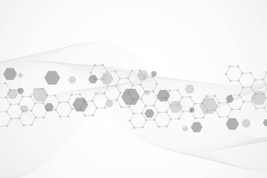 science network pattern connecting lines and dots vector image