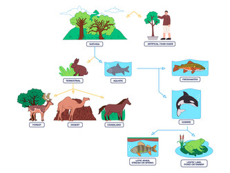 types of ecosystem swamp desert ocean underwater Vector Image