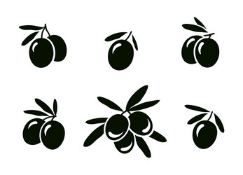 set hand drawn isolated olive branches Vector Image