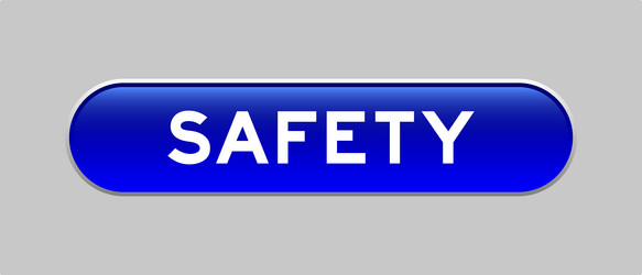 blue color capsule shape button with word safety vector image