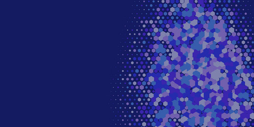 geometric multi size hexagon with color vector