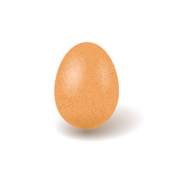 One brown chicken egg with shadow isolated vector