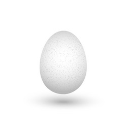 One white chicken egg with shadow isolated vector