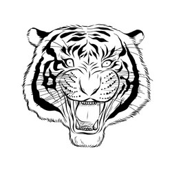 Tiger Head Portrait Vector Image