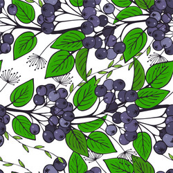 Seamless pattern with branches of chokeberry vector