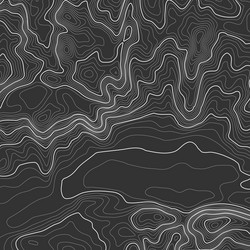 topographic map background with space for copy vector image