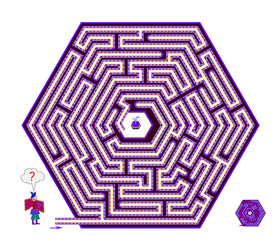 logic puzzle game with labyrinth for children vector image
