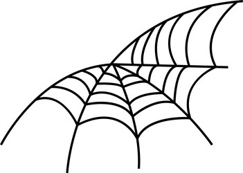 Spider web on transparent background spiderweb vector