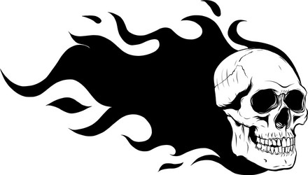Burning Skull Falling in Flames Vector Image