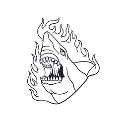 Hand drawn of a shark with fire outline vector