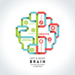 Left and Right Brains - Cognitive Function vector image
