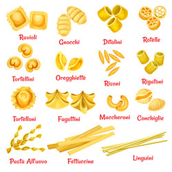 Pasta type with name poster of italian macaroni vector