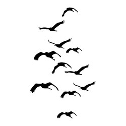 birds are flying high Vector Image