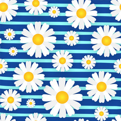 Chamomile flowers seamless pattern blue background