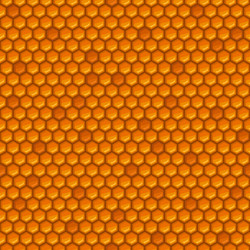 honeycomb seamless pattern with honey and combs vector image