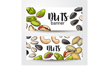 Banners with nuts seeds and place for text vector