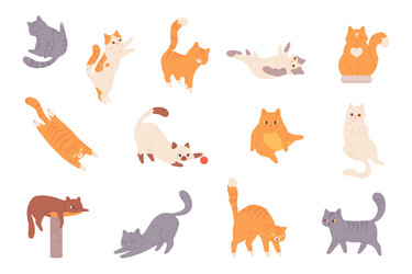 cat behavior feline poses cartoon cats vector