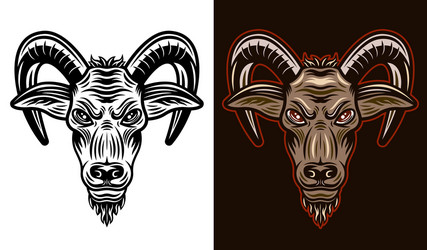 Goat head two styles black on white and colorful vector